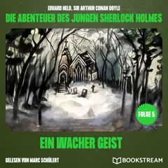 Ein wacher Geist (Die Abenteuer des jungen Sherlock Holmes, Folge 5)