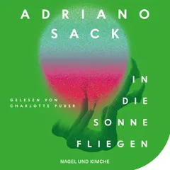 In die Sonne fliegen