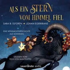 Als ein Stern vom Himmel fiel