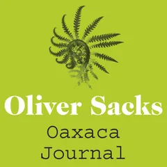 Oaxaca Journal