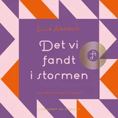 Det vi fandt i stormen