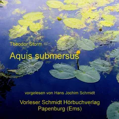Aquis submersus
