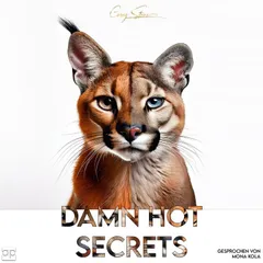 Damn Hot Secrets