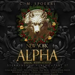New York Alpha (Part 17 - Epilog 1: Weihnachten)