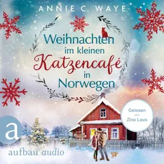 Weihnachten im kleinen Katzencafé in Norwegen