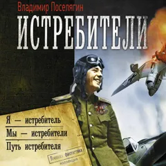 Истребители: Я – истребитель. Мы – истребители. Путь истребителя