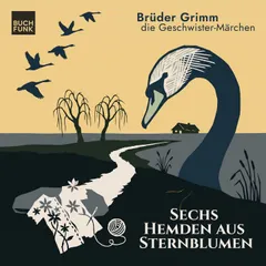 Sechs Hemden aus Sternblumen