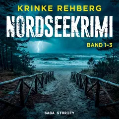NORDSEEKRIMI: Band 1–3
