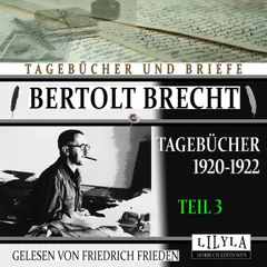 Tagebücher 1920-1922 - Teil 3