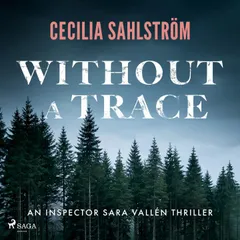 Without a Trace: A dark, atmospheric Nordic procedural