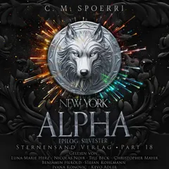 New York Alpha (Part 18 - Epilog 2: Silvester)