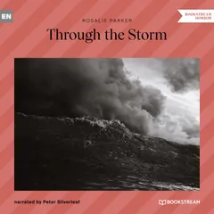 Through the Storm