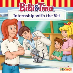 Internship with the Vet