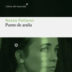 Punto de araña