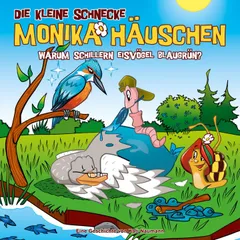 82: Warum schillern Eisvögel blaugrün?