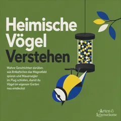Heimische Vögel Verstehen