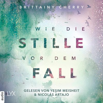 Wie die Stille vor dem Fall. Zweites Buch - Chance-Reihe, Band