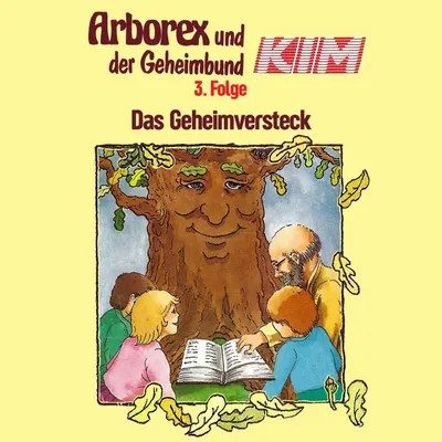 Cover of 03: Das Geheimversteck by Immen, Erika