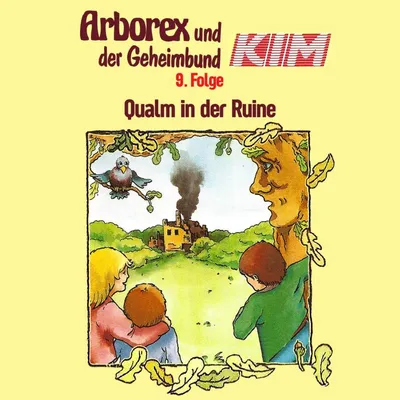 Cover of 09: Qualm in der Ruine by Immen, Erika