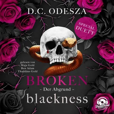 Cover of Der Abgrund by Odesza, D. C.