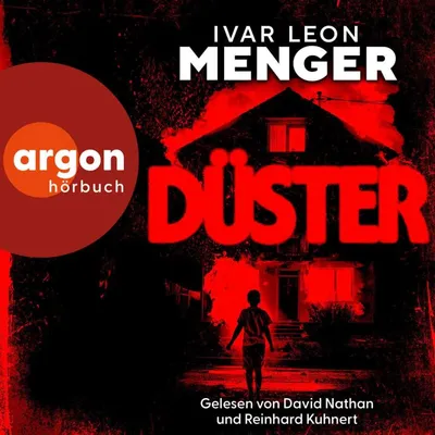 Cover von Düster von Menger, Ivar Leon