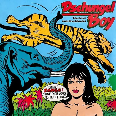 Cover of Dschungel Boy - Abenteuer eines Urwaldkindes by Huff, Hartmut